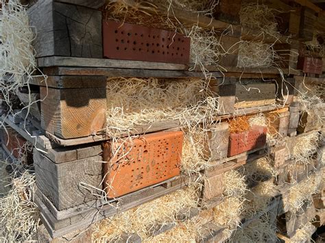 Insektenhotel Wieder Bezugsfertig Rotary Club Datteln Lippe