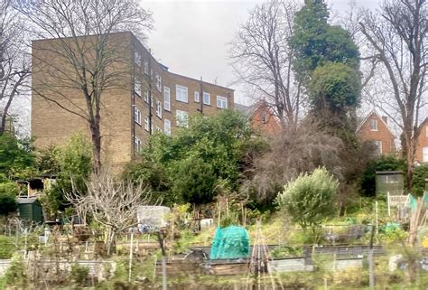 Hampstead Heath Allotments Alan Hughes Cc By Sa Geograph