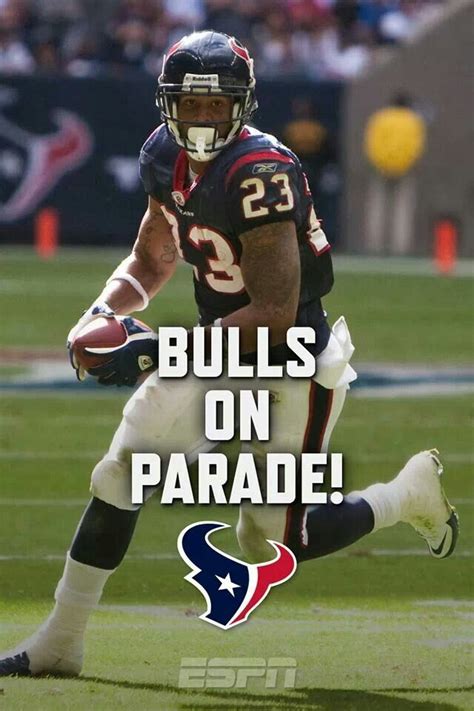 Pin By Bernadette De Joya On Houston Texans Nfl Football Teams Bulls