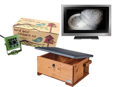 Hedgehog Box Cameras | Green Feathers