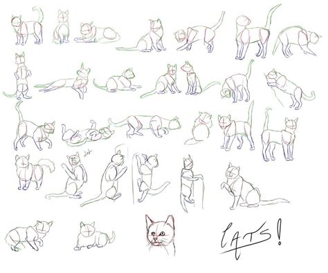 So, on my old account i had done a few poses of cats, as i couldn't ...