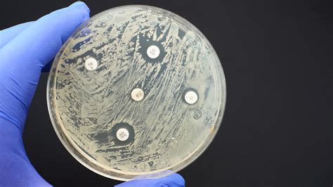 New Shape Shifting Antibiotic Proves To Be Resistant Against Superbugs