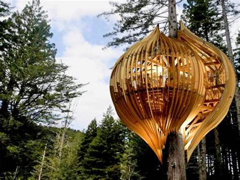 New Zealand's Whimsical Yellow Treehouse Restaurant Towers Above The Redwood Forest | Inhabitat ...