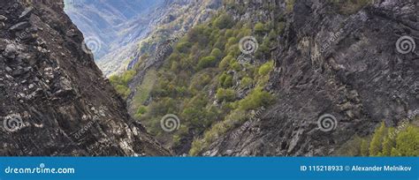 Spring In A Mountain Gorge Stock Image Image Of Outdoor 115218933