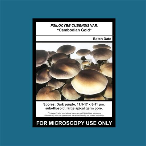 Jedi Mind Fuck JMF Spore Print Mushroom Man Mycology