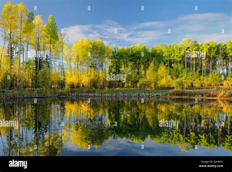 Fox creek alberta hi-res stock photography and images - Alamy