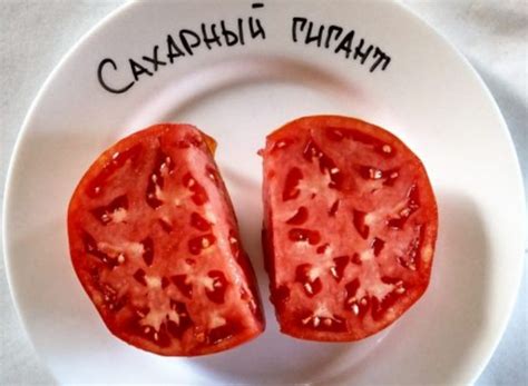 Томат Сахарный гигант ? : характеристика, описание сорта, фото, посадка ...