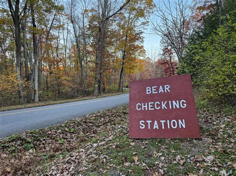 Maryland’s bear-hunting season opens with gusto and concern – CNS Maryland