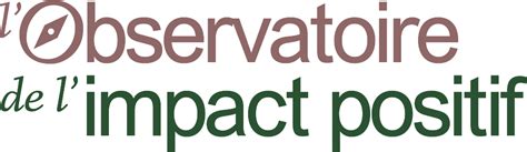 lobservatoire de limpact positif de big youth  occurrence