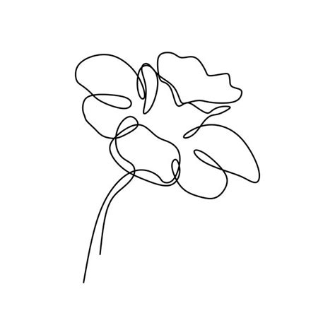 Continuous Line Art Drawing Of Flower Vector Illustration Minimalist