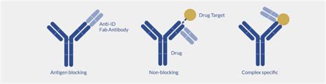 Anti-drug antibodies - ProteoGenix