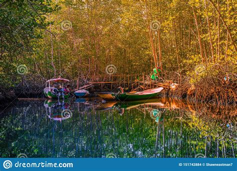 Barcos Tradicionales Balineses Al Atardecer En El Bosque De Manglares