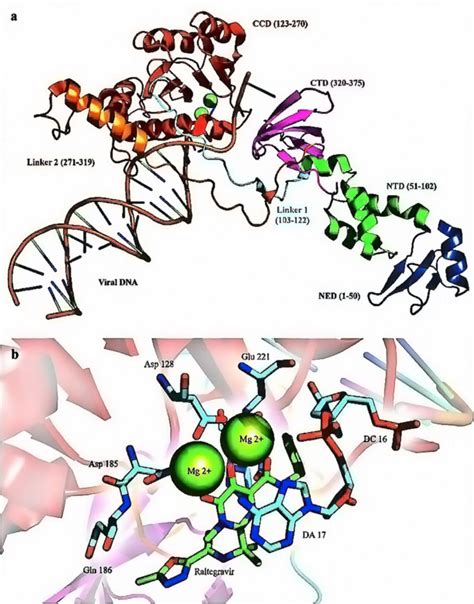 HIV 1 Reverse Transcriptase Integrase Dual Inhibitors A Review Of