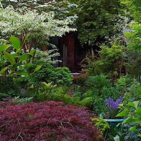 Landscape Architect Visit Clamshell Alley On The Coast Of Maine