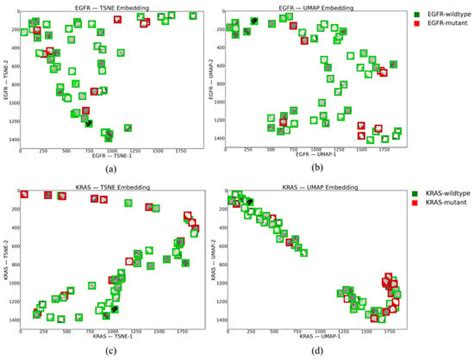 An Explainable Radiogenomic Framework To Predict Mutational Status Of