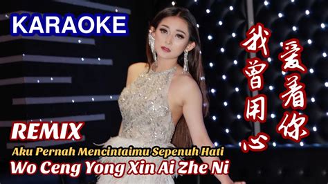 Karaoke Wo Ceng Yong Xin Ai Zhe Ni 我曾用心爱着你 Remix Helen Huang Live