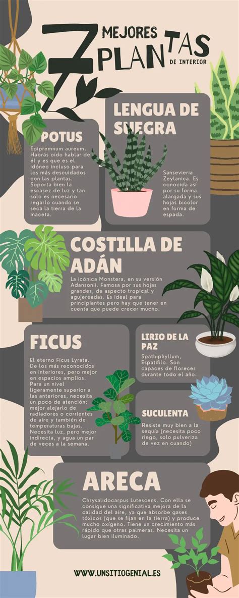 ᐈ Infografías de Plantas