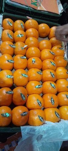 A Grade Maharashtra Orange Packaging Size 10 Kg Packaging Type Box