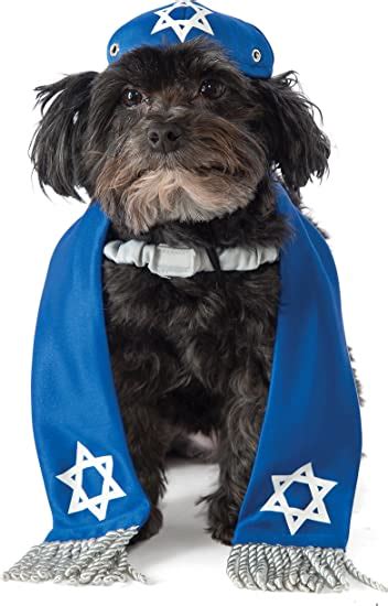 Rubies Yarmulke And Tallis Dog Costume M L Pet Supplies