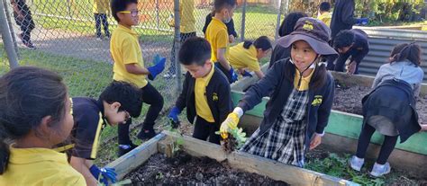 Burwood East Primary School