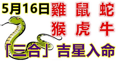 心南靈原 5月16日生肖運勢雞、鼠、蛇大吉