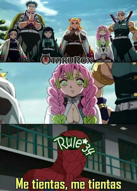 Zodiaco Kimetsu No Yaiba Memes De Anime Memes Memes Bilarasa