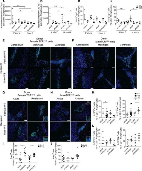 Jci Insight Sex Dependent Factors Encoded In The Immune Compartment Dictate Relapsing Or