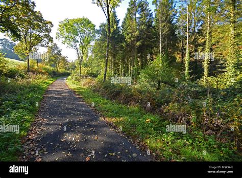 Tarka trail and cycle hi-res stock photography and images - Alamy