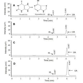 Hplc Uv Chromatograms Obtained From The Analysis Of The Saliva Of