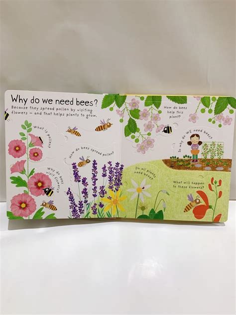 Usborne Why Do We Need Bees Buku Cerita Anak Inggris English Children