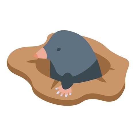 Premium Vector Soil Mole Icon Isometric Vector Hole Animal Ground