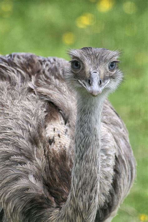 Rhea wallpapers, Sci Fi, HQ Rhea pictures | 4K Wallpapers 2019