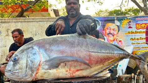 KASIMEDU MINNAL RAJA BIG TREVALLY FISH CUTTING VIDEO IN KASIMEDU