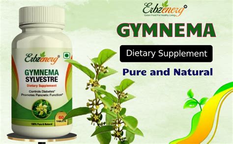 GYMNEMA SYLVESTRE TABLET - Erbzenerg - Diabetic Care