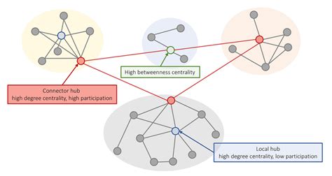 Different Concepts Of Hubness In Brain Networks A Schematic