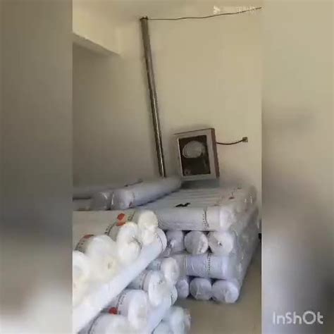 Seksi Warna Pepejal Pakaian Renang Baru Bikini Korea Bikini Baju Renang Bikini Bikini Berpecah