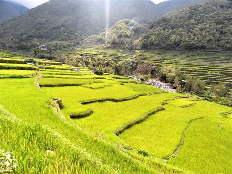 photo gallery  hagdan hagdang palayan ng banawe  banaue