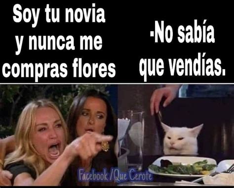 FOTOS Meme Del Gato Y Mujer Llorando Arrasa En Redes Sociales