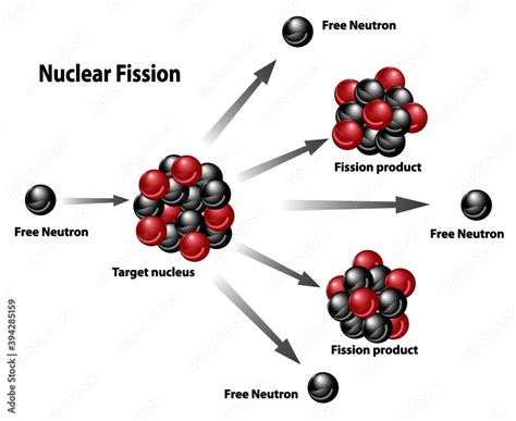 Nuclear energy diagram of nuclear fission reaction. Free neutron ...