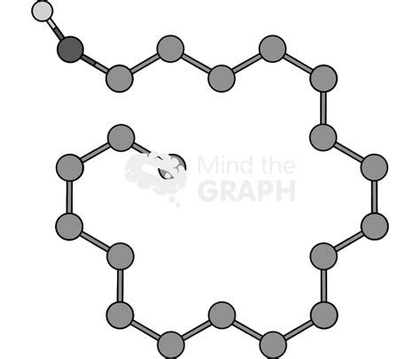 Stearyl alcohol molecule