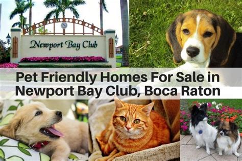 Pet Friendly Gated Communities in Boca Raton FL | Newport Bay Club ...