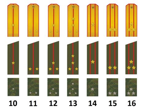 Rangos del ejército ruso Militär Wissen