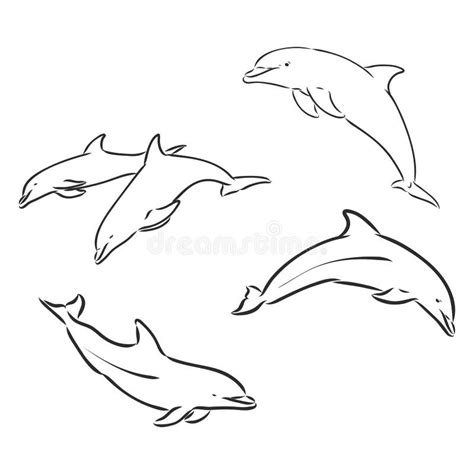 Dolphin Line Art Doodle A Hand Drawn Vector Cartoon Illustration Of A