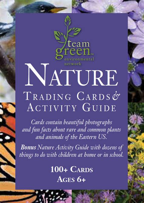 Nature Trading Cards Carol Freeman Photography