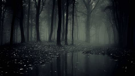 Gothic Forest Wallpapers - Top Free Gothic Forest Backgrounds ...