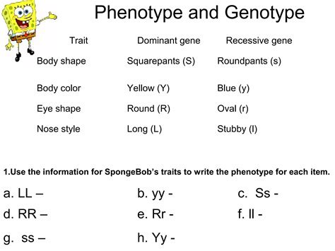 Bikini Bottom Genetics Practice 4 02