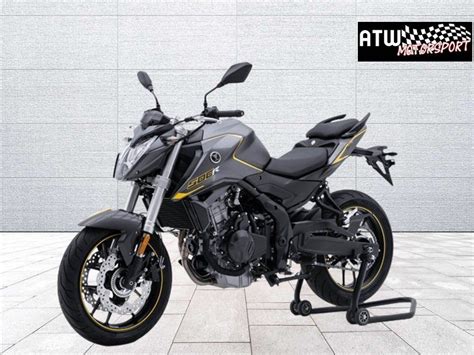 Voge R Naked Kaufen Auf Ricardo