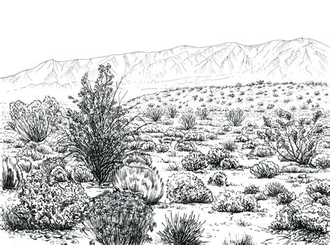 Desert Landscape Drawing at PaintingValley.com | Explore collection of Desert Landscape Drawing