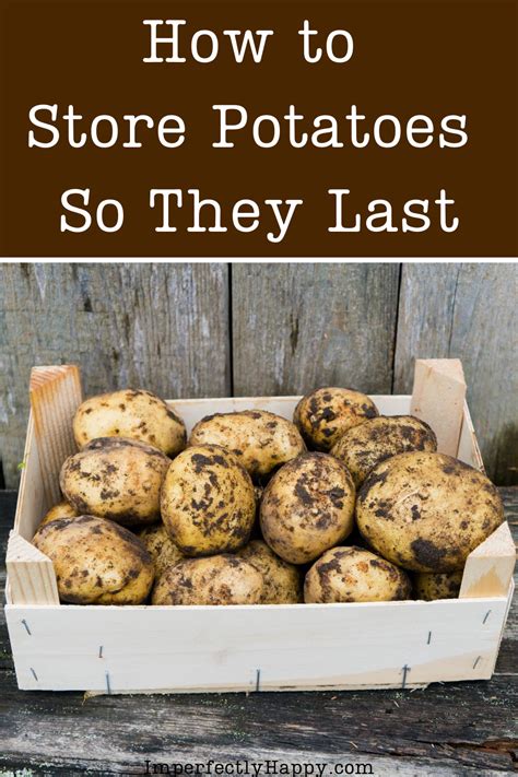 How To Prepare Garden Potatoes For Long Term Storage How To Store