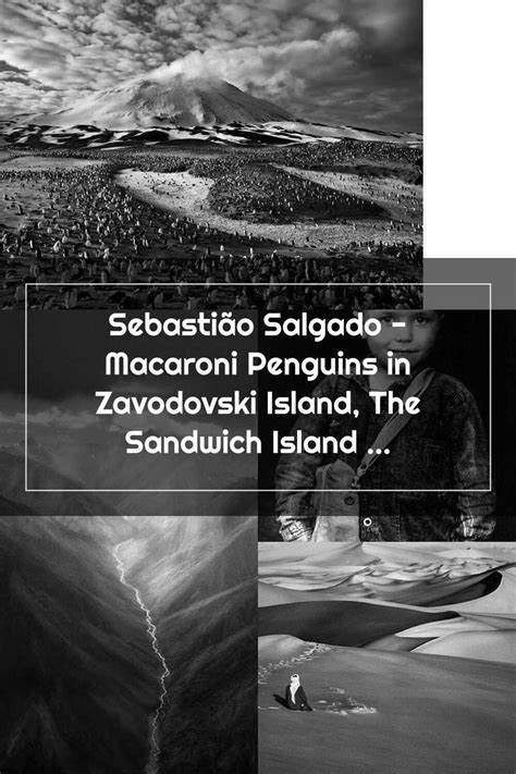 black and white photo with caption that reads sebastio salgado